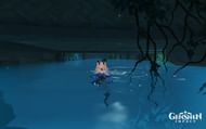Drop down and swim straight ahead (Image via HoYoverse)